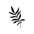 Tropical leaf. Black silhouette. Forest element. Royalty Free Stock Photo
