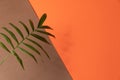 Tropical Leaf On Brown And Orange Paper Background. Flat Lay, Top View, Minimal Design Template With Copyspace.