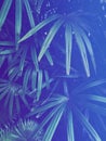 tropical leaf forest neon glow dark exotic vertical background
