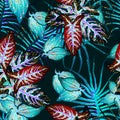 Tropical Leaf. Modern Motif. Jungle Print.