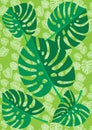 Tropical Leaf Monstera Plant isolated on green texture background. Vector Illustration Royalty Free Stock Photo