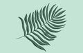 Tropical leaf palm tree leaf vector illustration. Royalty Free Stock Photo