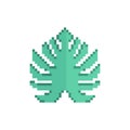 Tropical leaf pixel art isolated. Vector illustration