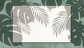 Tropical Leaf Shadow Overlay on Textured Background Royalty Free Stock Photo