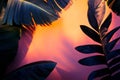 Tropical Leaf Silhouette Against an Orange and Pink Sunset Royalty Free Stock Photo