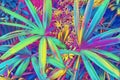 Tropical leaf top view. Neon palm leaf in exotic garden digital illustration.