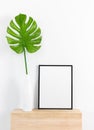 Tropical leaf in a white vase and black picture frame Royalty Free Stock Photo