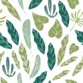 Tropical leafage and foliage exotic plants pattern