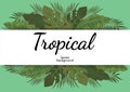 Tropical leafs background green illustration vector design Royalty Free Stock Photo