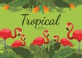 Tropical leafs background green illustration vector design Royalty Free Stock Photo
