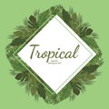 Tropical leafs background green illustration vector design Royalty Free Stock Photo