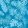 Tropical leafs background. hand drawn palm leaves on blue background.