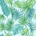 Tropical leafs background. Summer pattern.