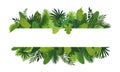 Tropical leafs concept banner, cartoon style Royalty Free Stock Photo