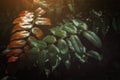 Tropical leafs in low and dark shadow Royalty Free Stock Photo