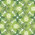 Tropical leafy vector seamless pattern. Green palm leaves and branches on white background. Ornamental spring summer repeat nature Royalty Free Stock Photo