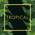 Tropical leave palm tree poster