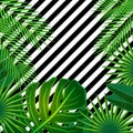 Tropical leaves background with geometric elements