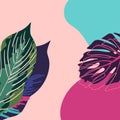 Tropical leaves in background. Monstera and exotic decorative elements. Abstract wallpaper for social media for stories