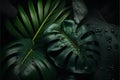 Tropical leaves background. Monstera leaves with raindrops.