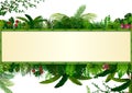 Tropical leaves background. Rectangle plants frame bamboo with space for text. Tropical foliage with horizontal banner
