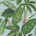 Tropical Leaves Background, Seamless Botanical Floral Pattern for cover, textile and fabric print