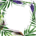 Tropical leaves bamboo tree frame in a watercolor style. Royalty Free Stock Photo