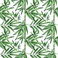 Tropical leaves bamboo tree pattern in a watercolor style.