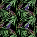 Tropical leaves bamboo tree pattern in a watercolor style. Royalty Free Stock Photo