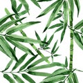 Tropical leaves bamboo tree pattern in a watercolor style. Royalty Free Stock Photo