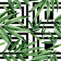 Tropical leaves bamboo tree pattern in a watercolor style. Royalty Free Stock Photo