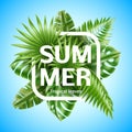 Tropical leaves banner. Exotic jungle green foliage composition, realistic palm elements, summer frame with monstera and