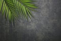 Tropical leaves on black abstract grunge background.