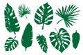 tropical leaves, bright colored, vector isolated objects set Royalty Free Stock Photo
