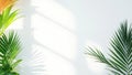 Tropical Palm Leaves and Shadows Royalty Free Stock Photo
