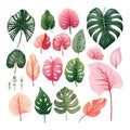 Tropical Leaves Collection. Jungle green leafs. Vector Illustration. Green Tropic set. Collection of tropical in simple minimal