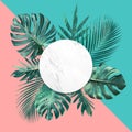 Tropical leaves with copy space and color pastel background Royalty Free Stock Photo