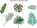 Tropical leaves design elements.