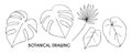 Tropical Leaves in doodle style. Vector hand drawn black line design elements. Royalty Free Stock Photo