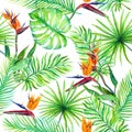 Tropical leaves, exotic flowers. Seamless jungle pattern. Watercolor Royalty Free Stock Photo