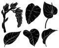 Tropical leaves and flowers, plants silhouettes.