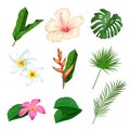 Tropical leaves and flowers set. Collection of exotic plants. Best for invitations, party designs and flyers. Vector illustrations