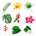 Tropical leaves and flowers set. Collection of exotic plants. Best for invitations, party designs and flyers. Vector illustrations