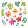 Tropical leaves and flowers set Royalty Free Stock Photo