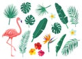 Tropical leaves, flowers vector illustration set. Cartoon flat element with monstera, hibiscus, frangipani, flamingo Royalty Free Stock Photo