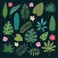 Tropical leaves flowers vector tropic hibiscus flowering plant and leaf foliage palm or banana tree in jungle exotic