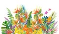 Tropical leaves and flowers on white background. Watercolor hand painted border. Floral tropic illustration.