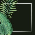 Tropical leaves foliage palms exotic banner black background