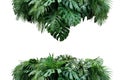 Tropical leaves foliage plant bush floral arrangement nature backdrop isolated on white background, clipping path included. Royalty Free Stock Photo