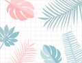 Tropical leaves frame with copyspace. Pastel pink and blue tropic summer background. Monstera and leaf